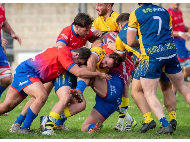 Capturez l'intensité du rugby avec un photographe d'élite