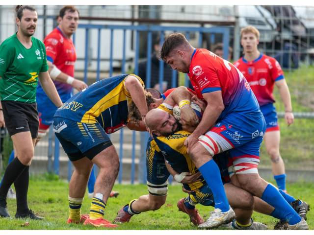 Capturez l'intensité du rugby avec un photographe d'élite