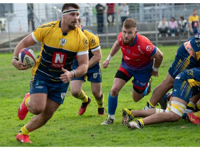 Capturez l'intensité du rugby avec un photographe d'élite